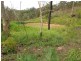 909 Gormleys Road, Seaforth QLD 4741