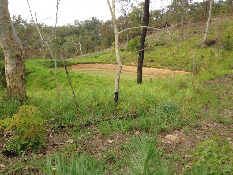 909 Gormleys Road, Seaforth QLD 4741