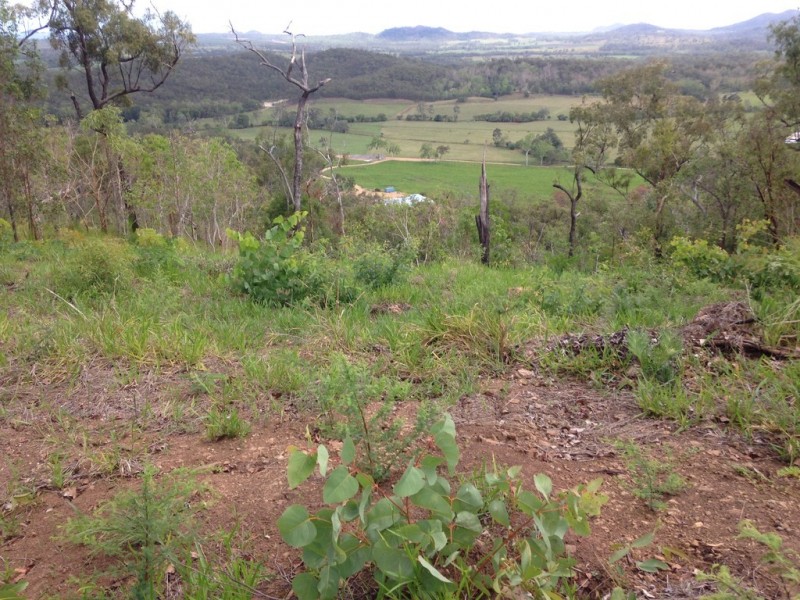 909 Gormleys Road, Seaforth QLD 4741
