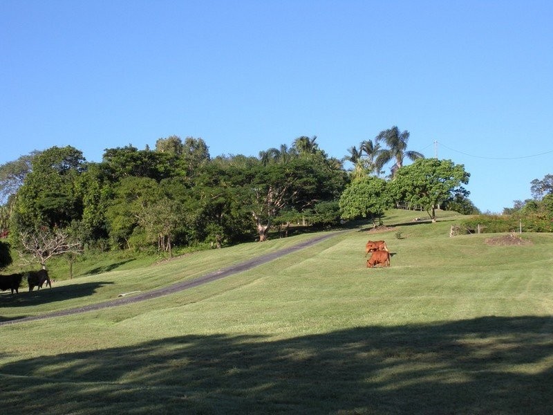 291 Nebia Coningsby Road, Mackay QLD 4740