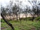 143 Rasmussen Avenue, Hay Point QLD 4740
