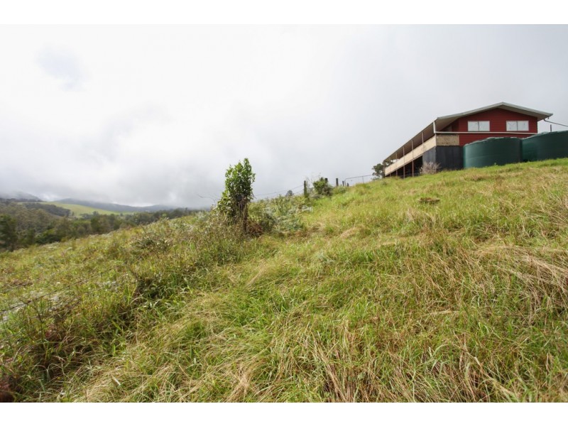 1863 Dalrymple Road, Dalrymple Heights QLD 4757