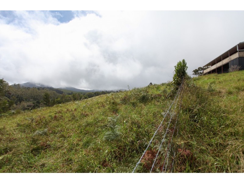 1863 Dalrymple Road, Dalrymple Heights QLD 4757