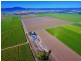 131 Walz Lane, Mirani QLD 4754