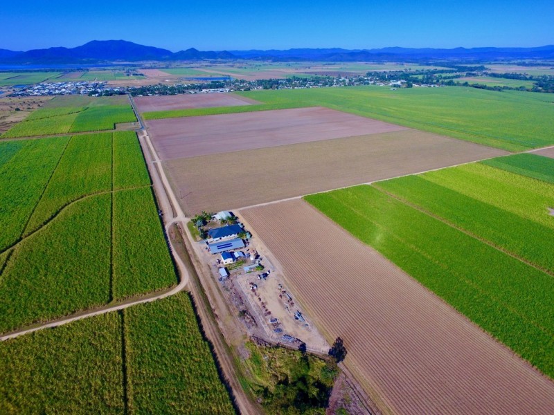 131 Walz Lane, Mirani QLD 4754