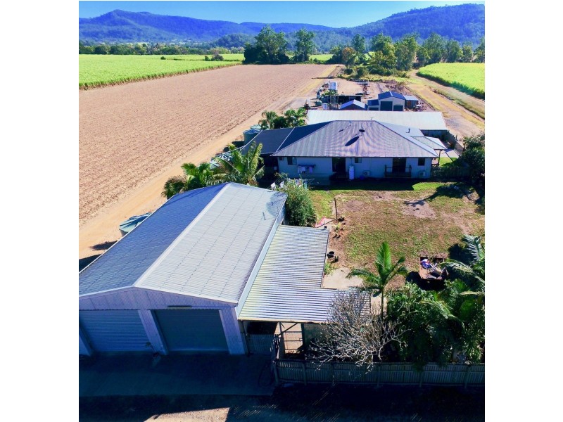131 Walz Lane, Mirani QLD 4754