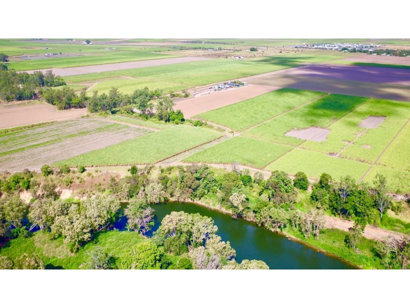 131 Walz Lane, Mirani QLD 4754