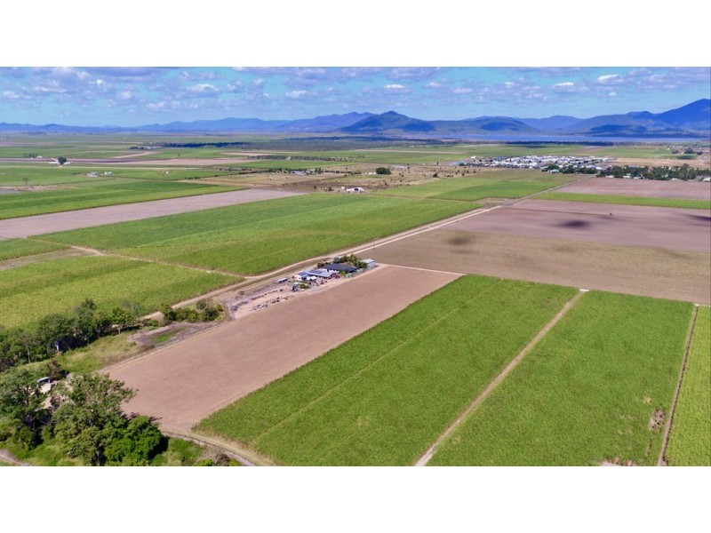 131 Walz Lane, Mirani QLD 4754