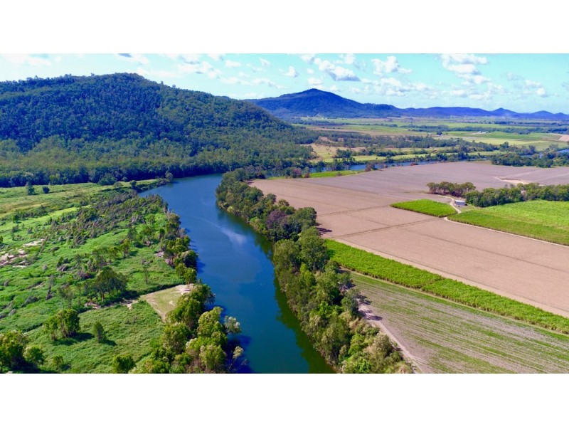 131 Walz Lane, Mirani QLD 4754