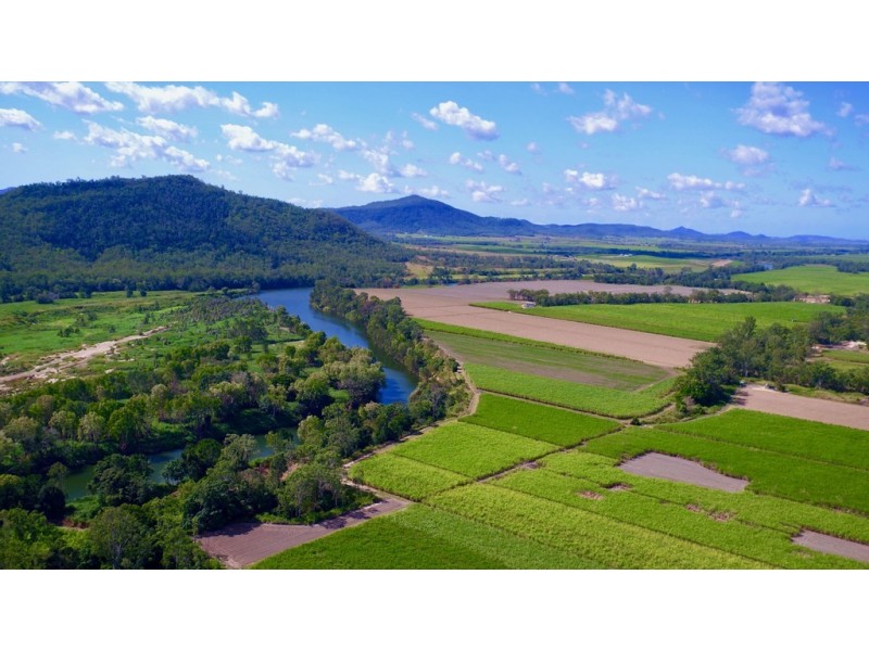 131 Walz Lane, Mirani QLD 4754
