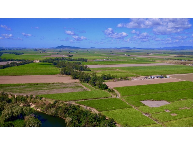 131 Walz Lane, Mirani QLD 4754