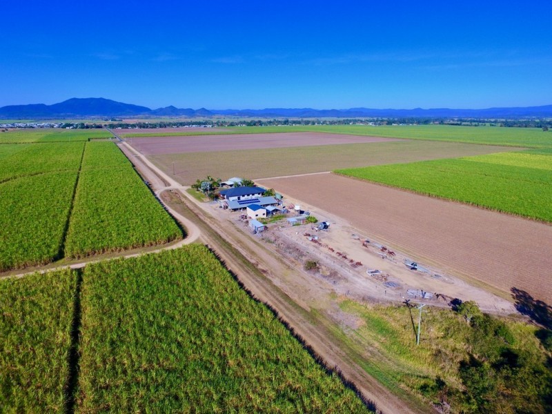 131 Walz Lane, Mirani QLD 4754