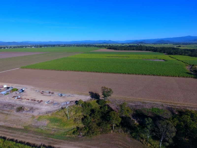131 Walz Lane, Mirani QLD 4754