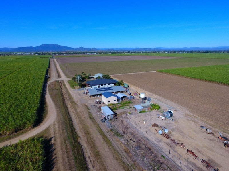 131 Walz Lane, Mirani QLD 4754