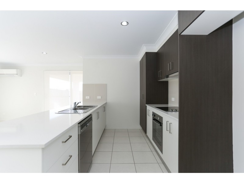 1 Alyssum Way, Bakers Creek QLD 4740