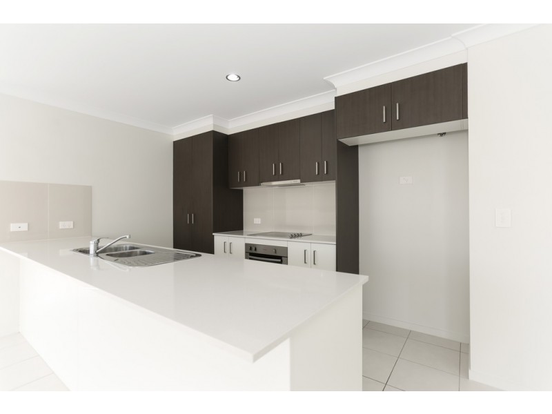 1 Alyssum Way, Bakers Creek QLD 4740
