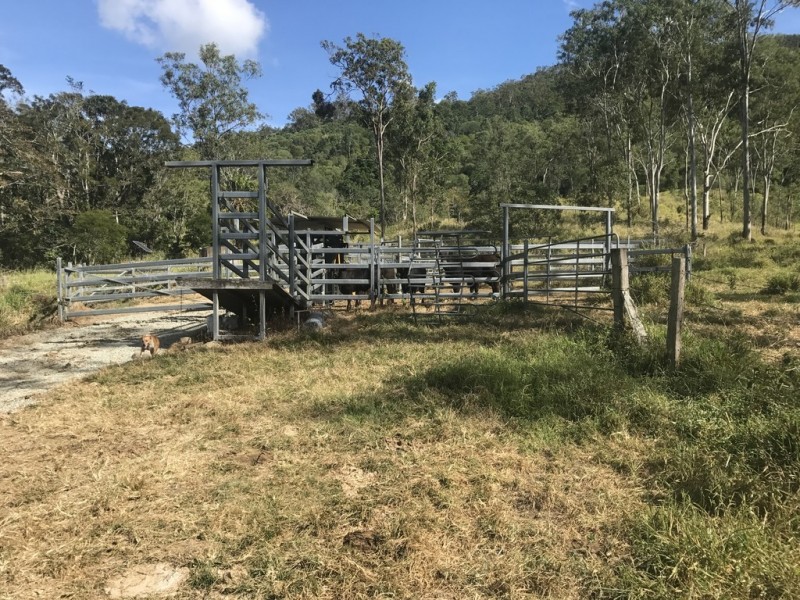 1055 Devereux Creek Road, Devereux Creek QLD 4753