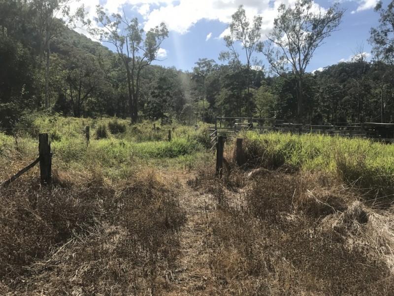 1055 Devereux Creek Road, Devereux Creek QLD 4753