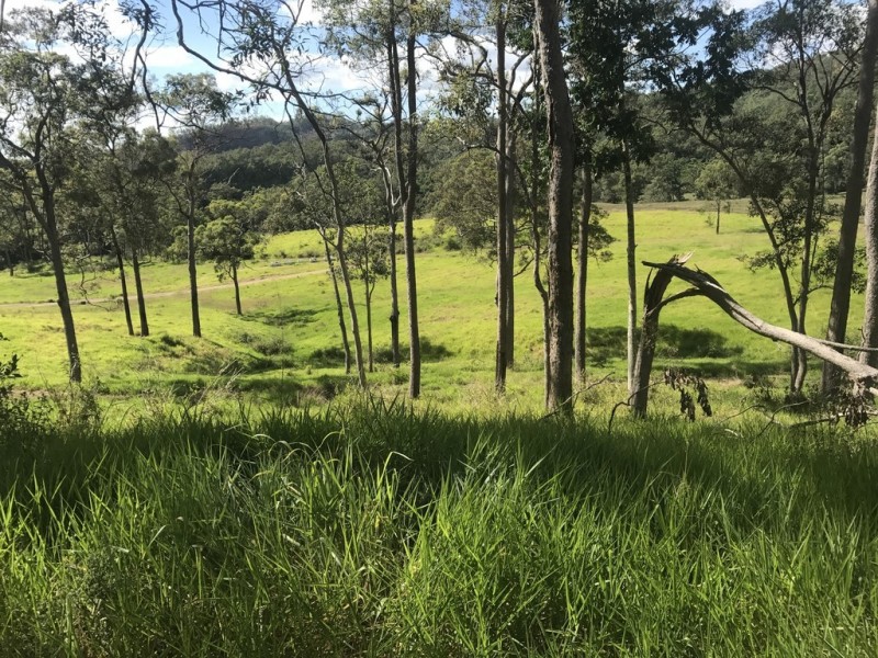 1055 Devereux Creek Road, Devereux Creek QLD 4753