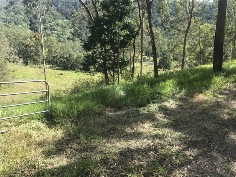 1055 Devereux Creek Road, Devereux Creek QLD 4753