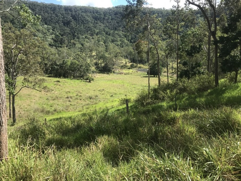 1055 Devereux Creek Road, Devereux Creek QLD 4753