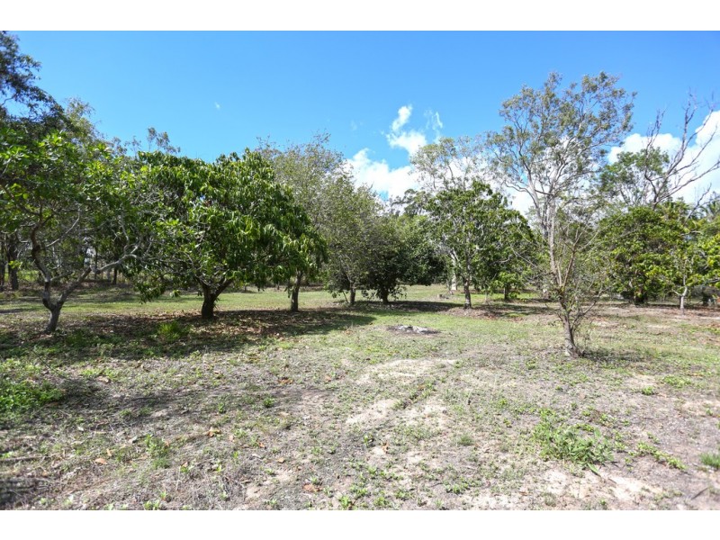 79 Smalleys Beach Road, Cape Hillsborough QLD 4740