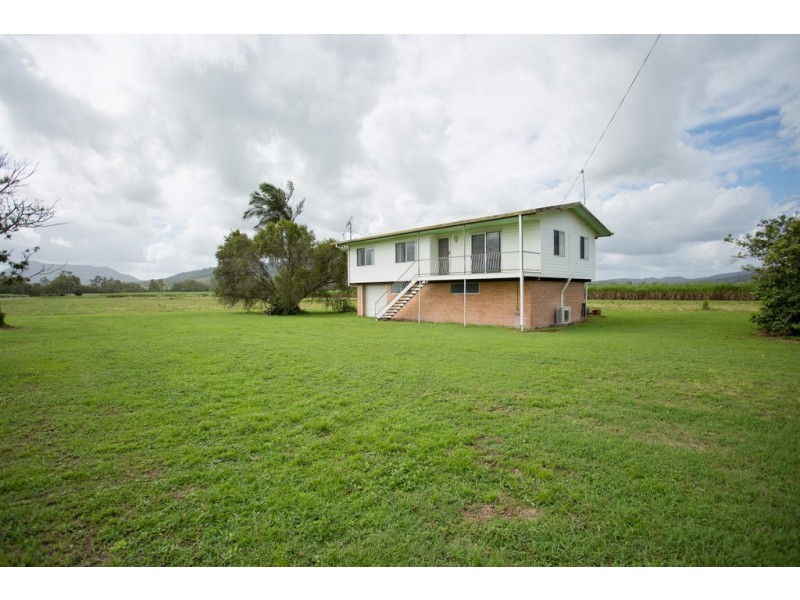242 Mt Martin Loop Road, Mirani QLD 4754