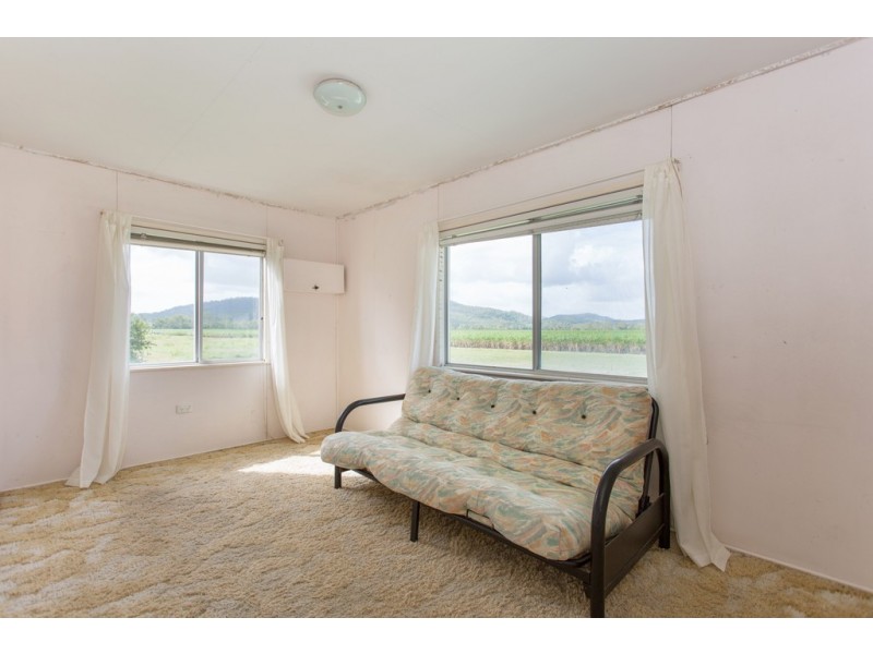 242 Mt Martin Loop Road, Mirani QLD 4754