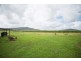 242 Mt Martin Loop Road, Mirani QLD 4754
