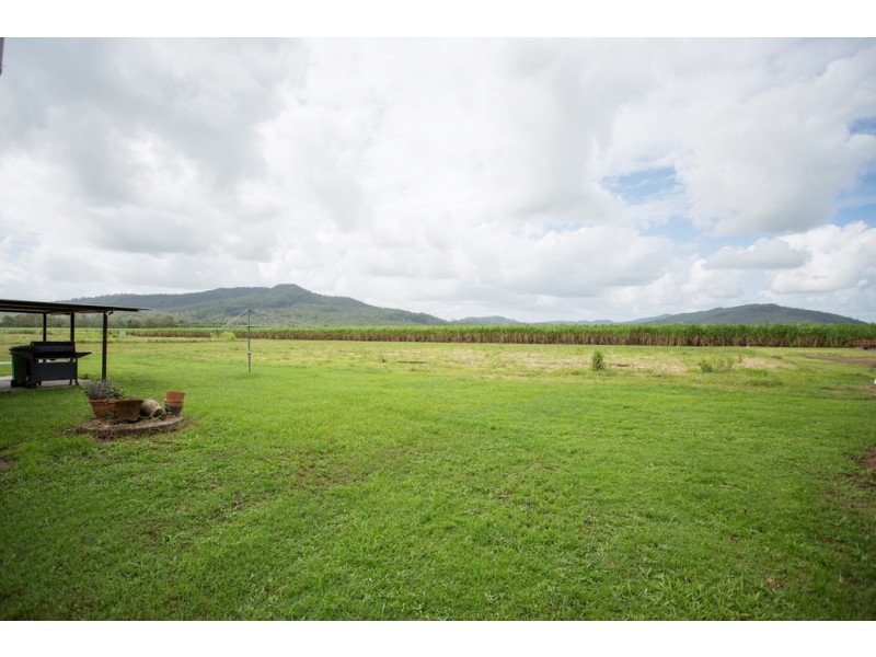 242 Mt Martin Loop Road, Mirani QLD 4754
