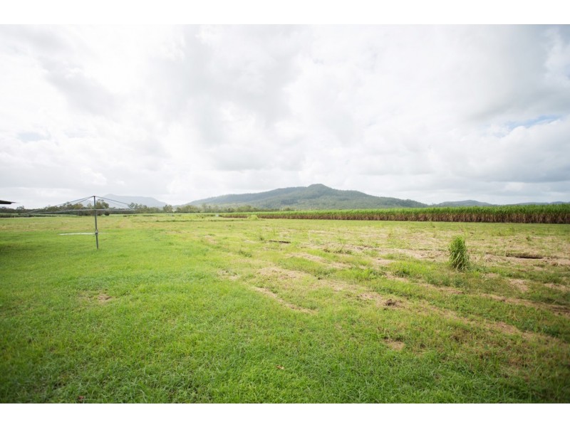 242 Mt Martin Loop Road, Mirani QLD 4754