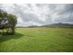 242 Mt Martin Loop Road, Mirani QLD 4754