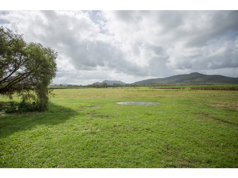 242 Mt Martin Loop Road, Mirani QLD 4754