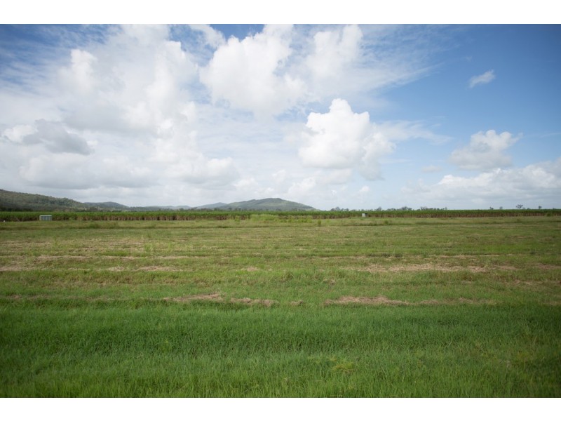 242 Mt Martin Loop Road, Mirani QLD 4754