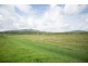 242 Mt Martin Loop Road, Mirani QLD 4754