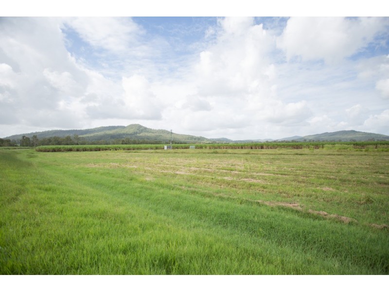 242 Mt Martin Loop Road, Mirani QLD 4754