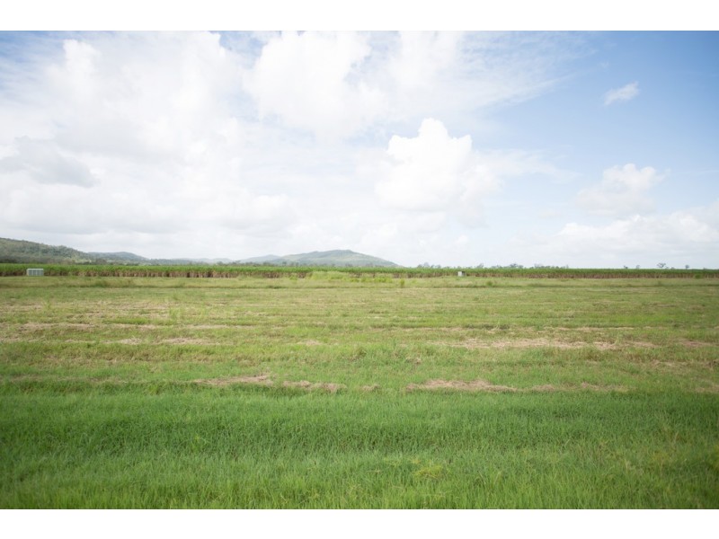 242 Mt Martin Loop Road, Mirani QLD 4754
