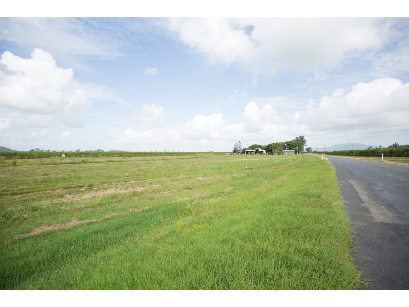 242 Mt Martin Loop Road, Mirani QLD 4754