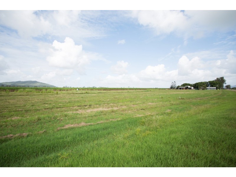 242 Mt Martin Loop Road, Mirani QLD 4754
