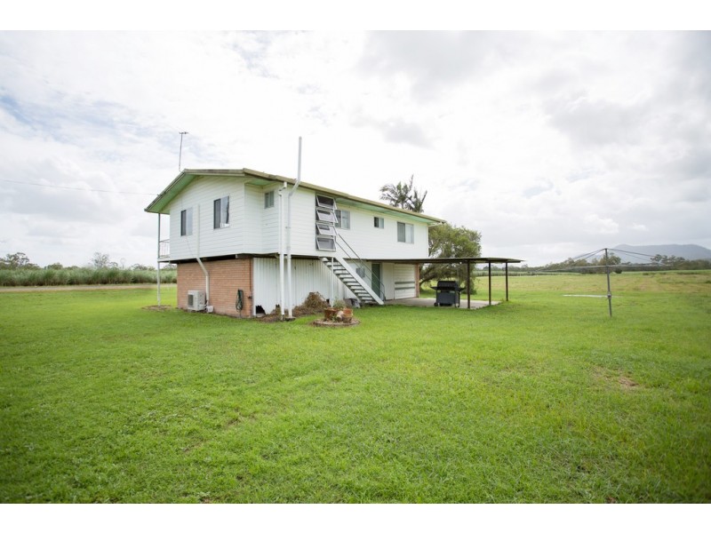 242 Mt Martin Loop Road, Mirani QLD 4754