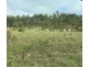 726 Dundee Road, Ambrose QLD 4695