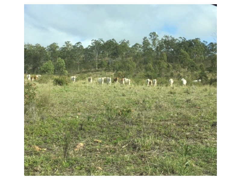 726 Dundee Road, Ambrose QLD 4695