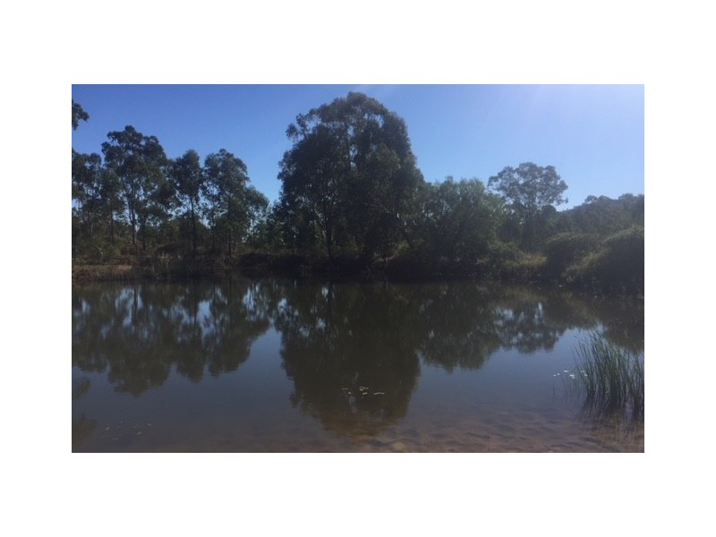 726 Dundee Road, Ambrose QLD 4695