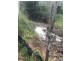 726 Dundee Road, Ambrose QLD 4695