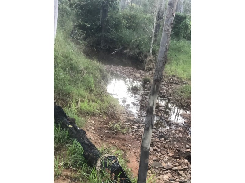 726 Dundee Road, Ambrose QLD 4695