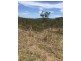 726 Dundee Road, Ambrose QLD 4695