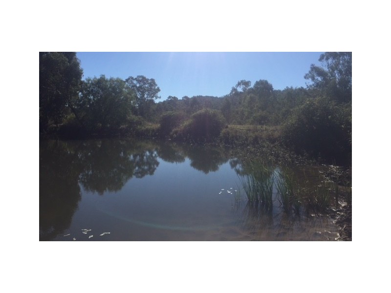 726 Dundee Road, Ambrose QLD 4695