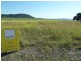 L9 Pleystowe School Road, Pleystowe QLD 4741
