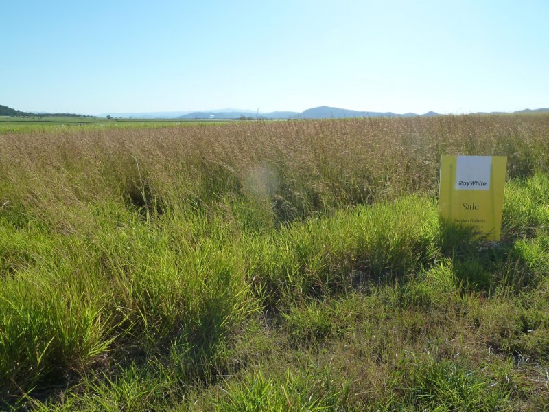 L9 Pleystowe School Road, Pleystowe QLD 4741