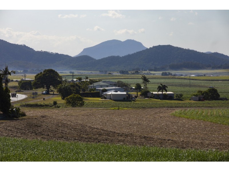 10 Chidlow Street, Farleigh QLD 4741